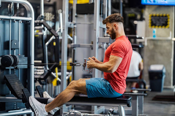 Hoist Mi1 Home Gym