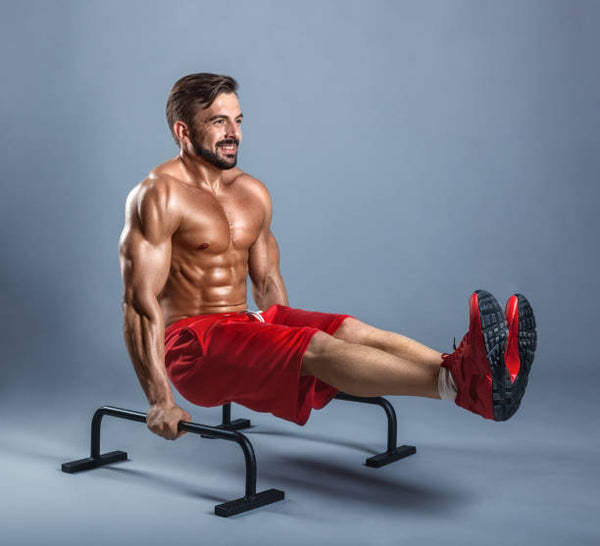 Lebert Parallettes